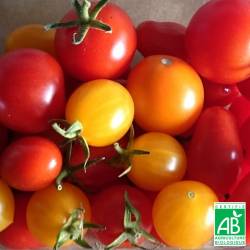Tomates cerises Bio 250g
