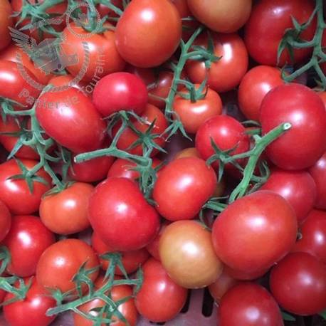 Tomates grappe 1Kg